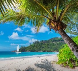 Traditional & Trendy: Planning A Wedding At A Dream Destination!