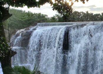 #TravelForLiFE launched on the occasion of World Tourism Day