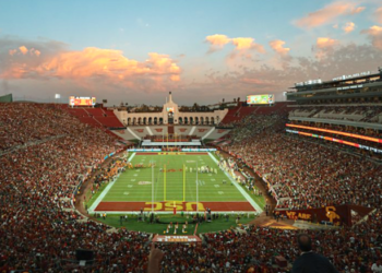 Cricket Officially Added to the 2028 Olympics in Los Angeles