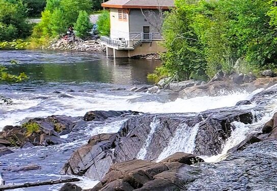 Dive Into Summer at the Spring Cottage Life Show!