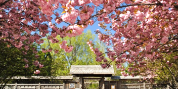 Spring is in the air at Kariya Park!