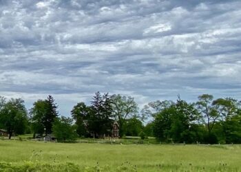 Ontario Offering Free Admission to Provincial Parks July 19