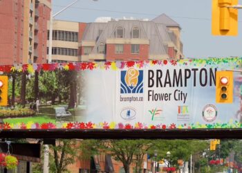 Ontario Connecting Internationally Trained Jobseekers with Employers in Brampton