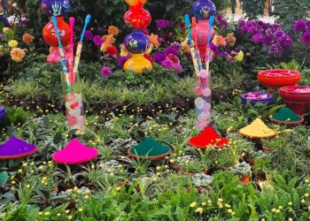 Colors & Cheers: Holi in Brij, Traditions & Celebrations!