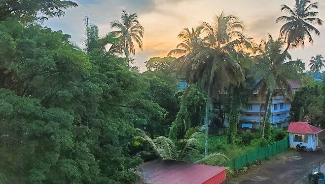 Wellness Meets Value: India Rises as a Global Medical Travel Destination