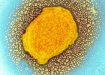 Monkeypox reported in 23 countries with 257 confirmed cases