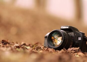 Great Things About Photography