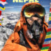 Gravitas Ventures Alex Harz’s “THE QUEST: Nepal” for TVOD/Digital Audiences Across North America Beginning on May 24th, 2022