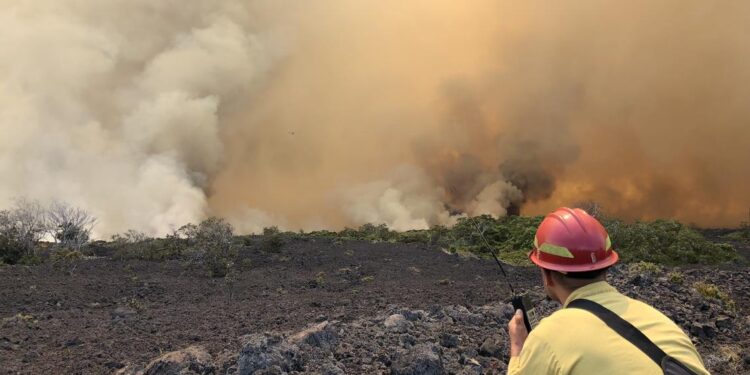 The Government of Canada is committed to supporting Canadians through the 2022 wildfire season