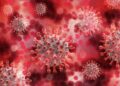 United States, Germany and Australia report highest COVID-19 cases globally
