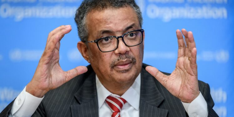 Monkeypox outbreak is unusual and concerning: WHO chief