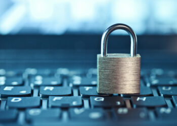 What steps can your business take to protect its data?