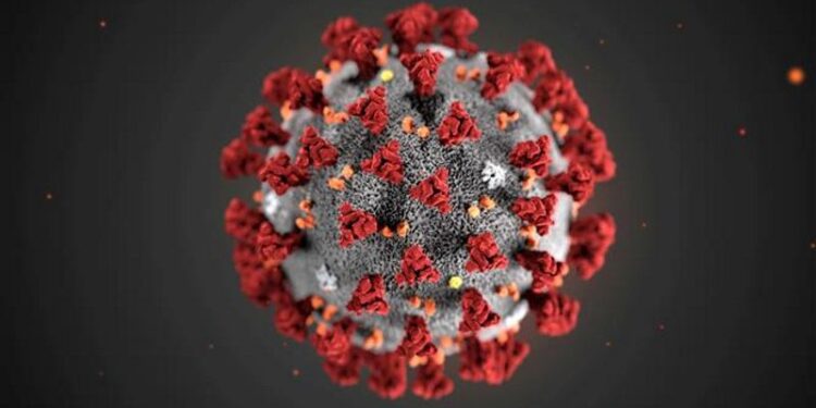 India reports 18,313 fresh Covid cases