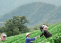 Heartwarming, Joyous “Shalom Taiwan,” DVD and Digital release August 2nd