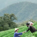 Heartwarming, Joyous “Shalom Taiwan,” DVD and Digital release August 2nd