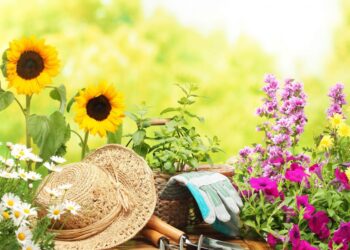 Tips to Keep Flowers Fresh For a Long Time