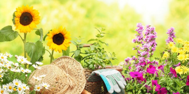 Tips to Keep Flowers Fresh For a Long Time