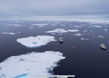 The Great Arctic Swim from Canada to Greenland Test Limits of Human Endurance