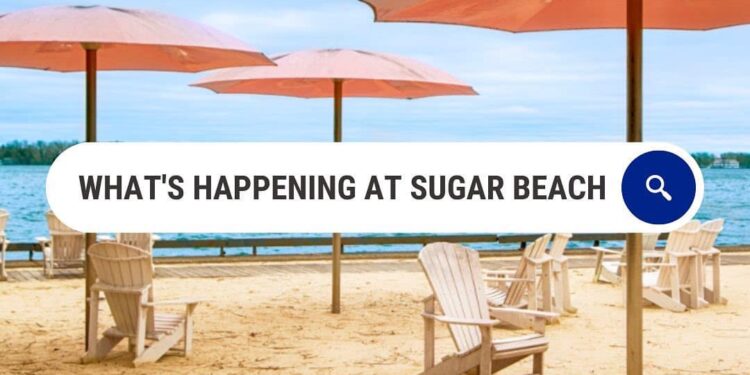 Toot-Toot! The Redpath Waterfront Returns   to Celebrate The Last Weekend of Summer