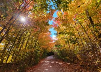 Happy Trails to You!