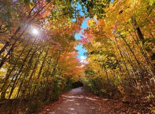 Happy Trails to You!