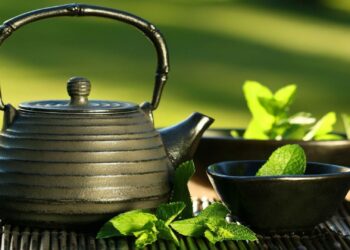 A Fool-Proof Guide to Health: Green Tea with Lemon