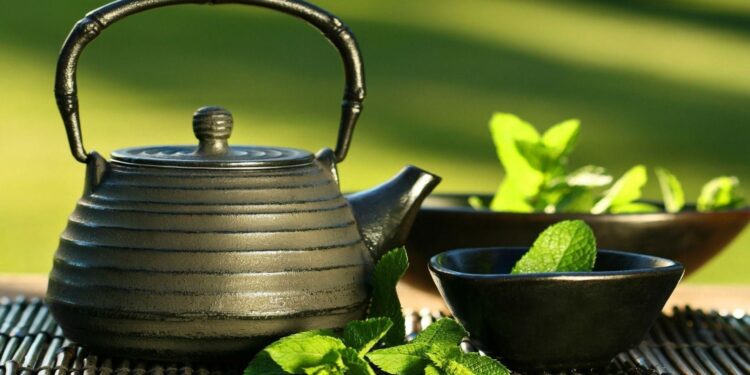 A Fool-Proof Guide to Health: Green Tea with Lemon