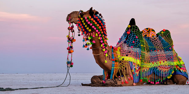 “Golden Sands of Rajasthan”
