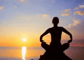 Yoga & Traditional medicines in international universities!