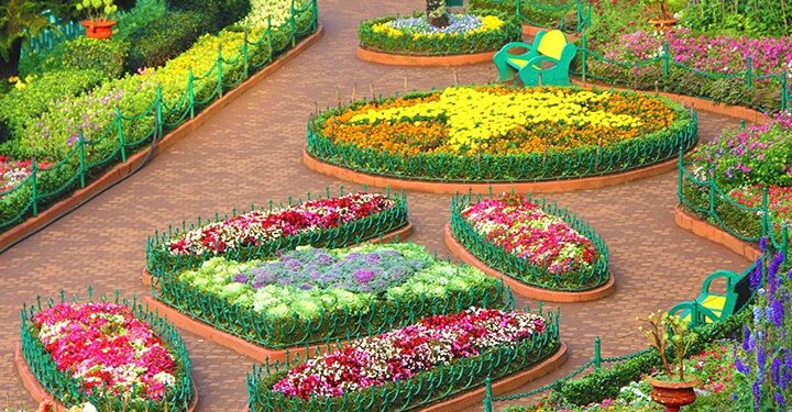 Summer Festival @ the Queen of Hills, Ooty!