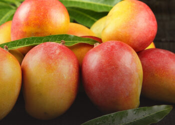 Mango Festival @ Jio World Drive!