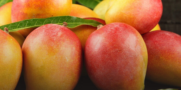 Mango Festival @ Jio World Drive!