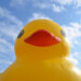 World’s Largest Rubber Duck Returns This Weekend!