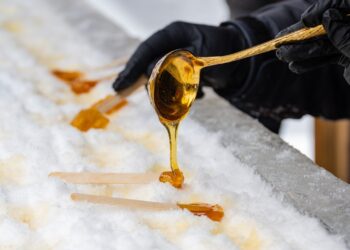 Maple Madness Returns to Sugar Beach in 2024