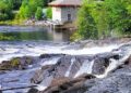 Dive Into Summer at the Spring Cottage Life Show!