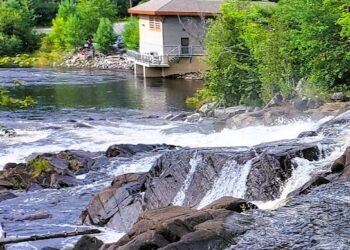 Dive Into Summer at the Spring Cottage Life Show!