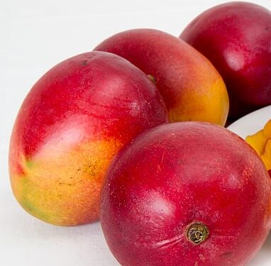 Sweet Harvest: Mango Festival 2024