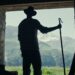 #tiff24: Films That Shine, Stories That Bind