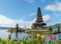 Black Fri-Yay Deals to Bali!