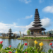 Black Fri-Yay Deals to Bali!
