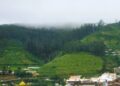 Lights, Heights & Diwali Delights in Ooty Retreats!