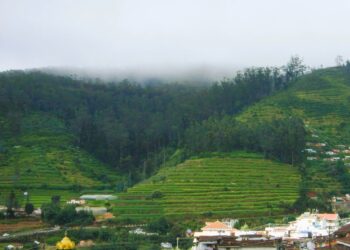 Lights, Heights & Diwali Delights in Ooty Retreats!