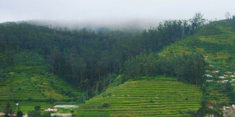 Lights, Heights & Diwali Delights in Ooty Retreats!