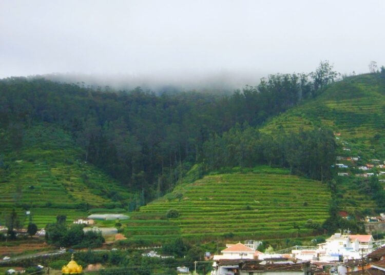Lights, Heights & Diwali Delights in Ooty Retreats!
