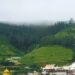 Lights, Heights & Diwali Delights in Ooty Retreats!