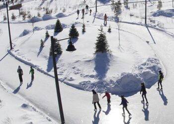 Celebrate Family Day weekend with a range of activities