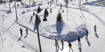 Celebrate Family Day weekend with a range of activities