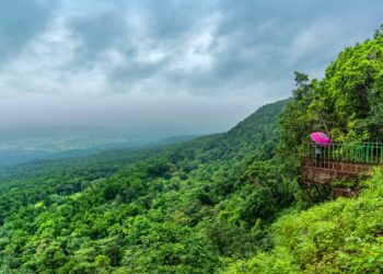 Amarkantak: A Forest Wellness Destination