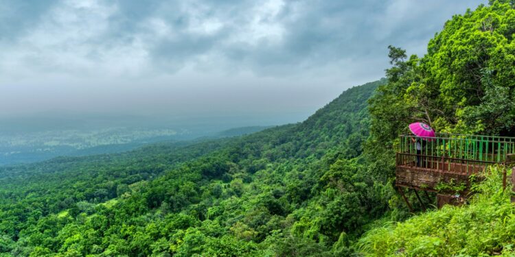 Amarkantak: A Forest Wellness Destination