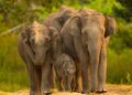 Karnataka Tourism to participate in TTF Mumbai 2026